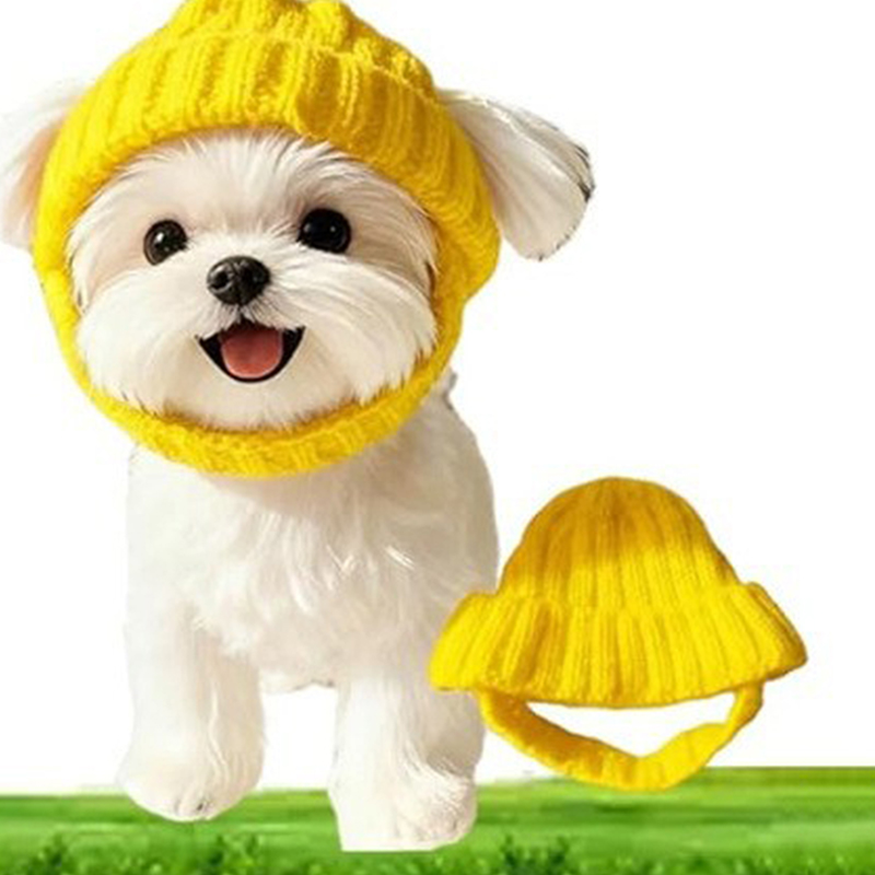 قبعة للكلاب الصغيرة من نوع الم - مراجعة Winter Trapper Hat وسعره